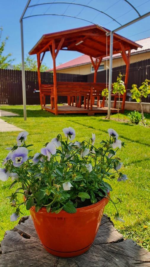 Vakantiehuis Casa Caraua *